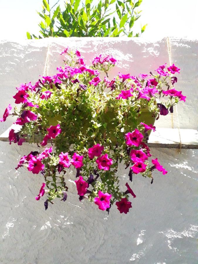 B&B I Limoni Sorso Ngoại thất bức ảnh